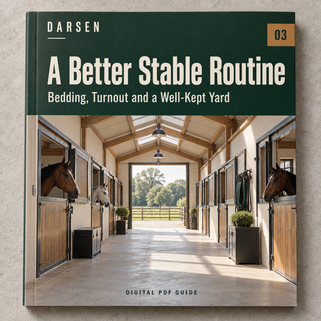 Understanding Your Horse &mdash; cover design for the planned digital guide.