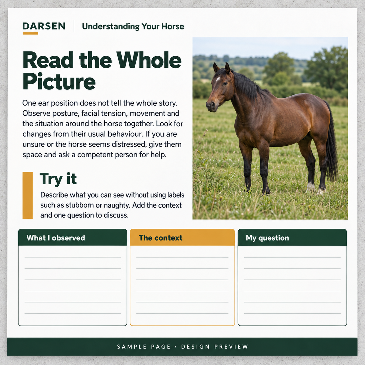Understanding Your Horse